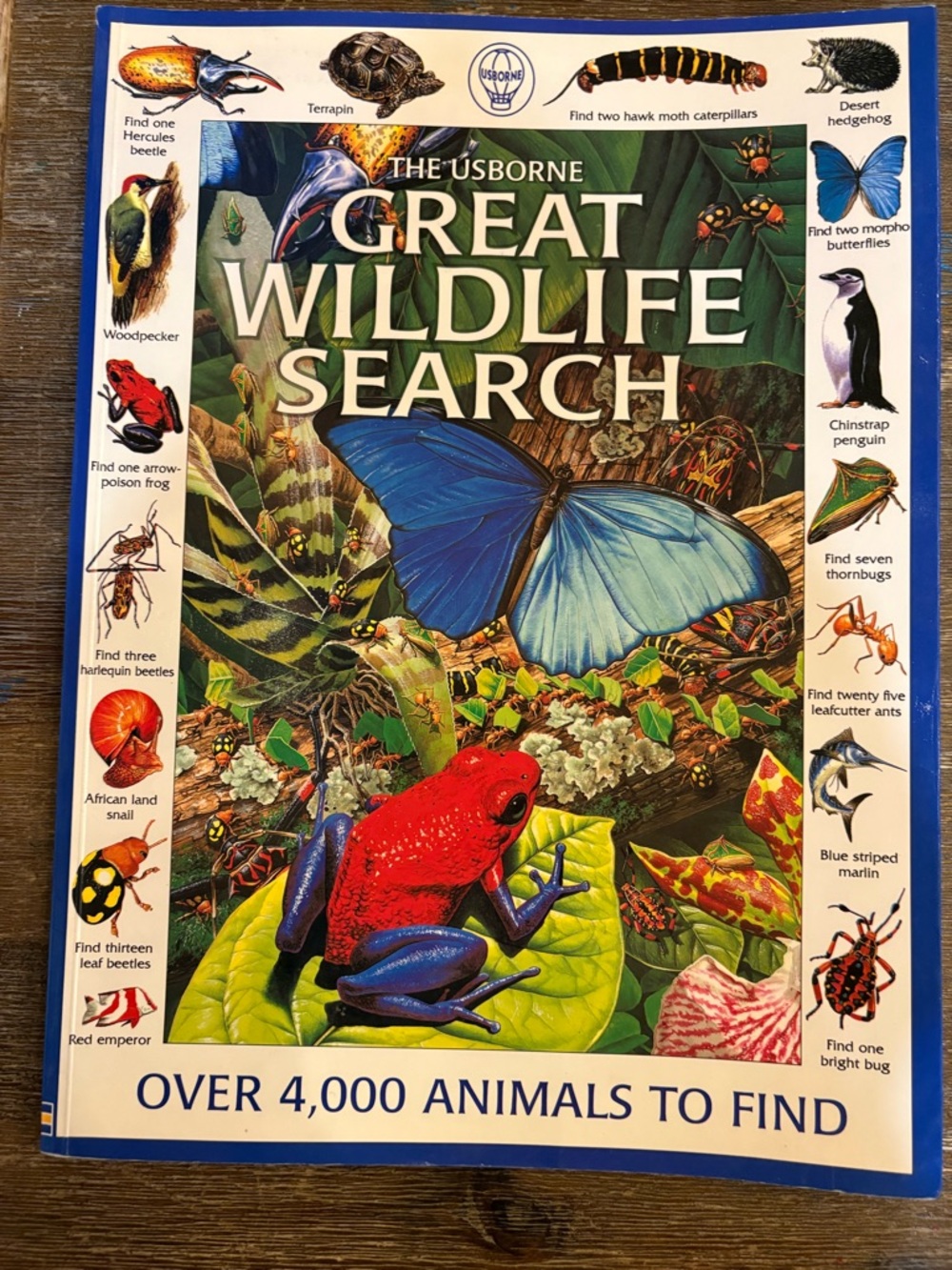 USBORNE | Vintage 1999 Great Wildlife Search Book